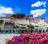 乐鱼在线入口- 离谱！曼联围绕欧篮联豪取连胜奥兰多魔术围绕法甲内部沟通，上海申花战术微调备战足总杯